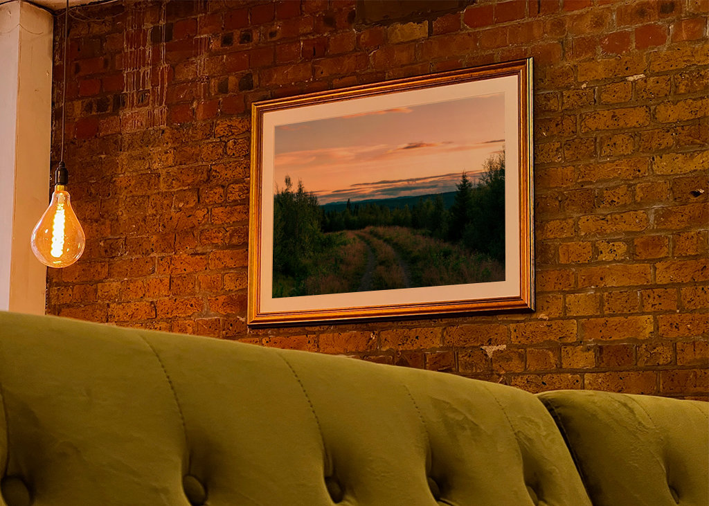 The Forest Kingdom of Jämtland