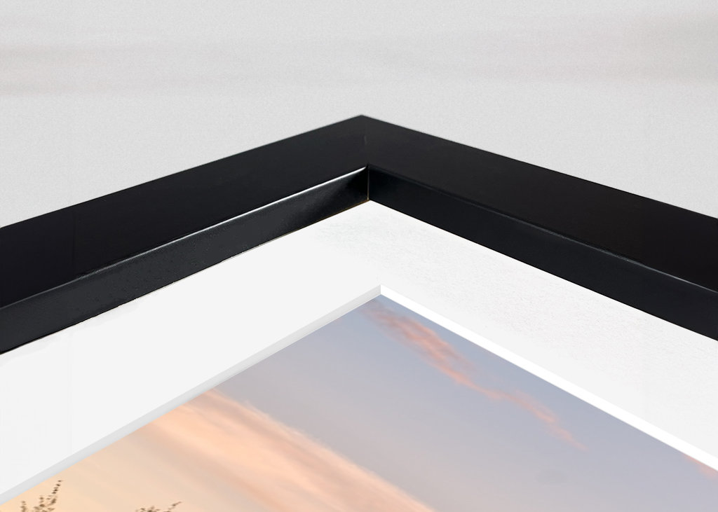 The Forest Kingdom of Jämtland