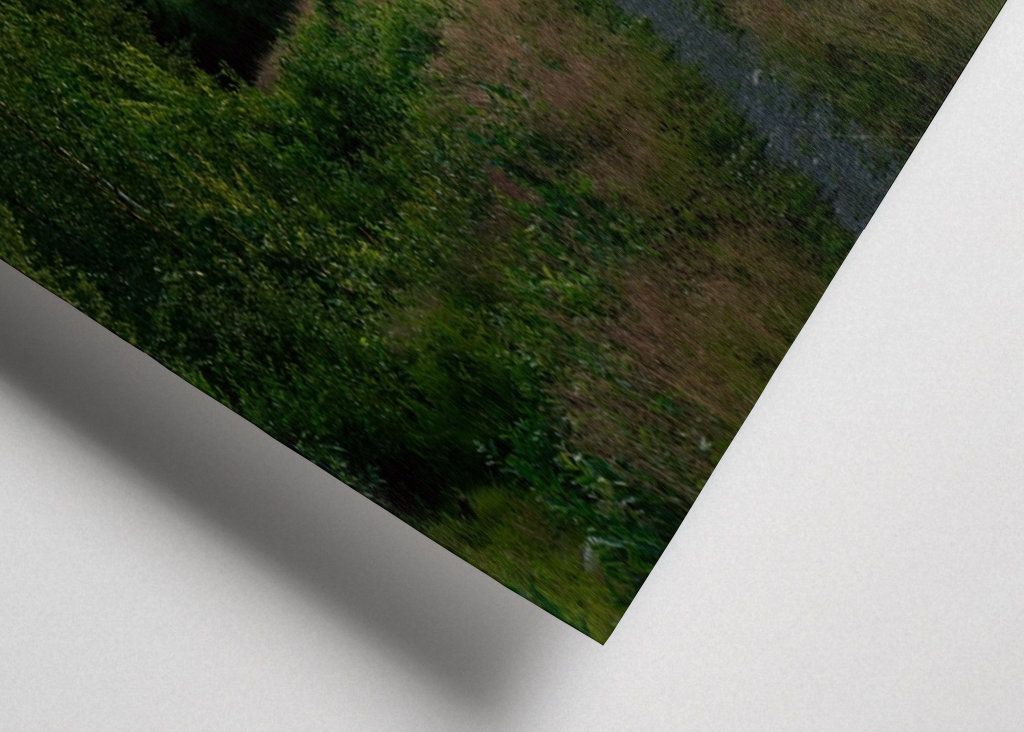 The Forest Kingdom of Jämtland