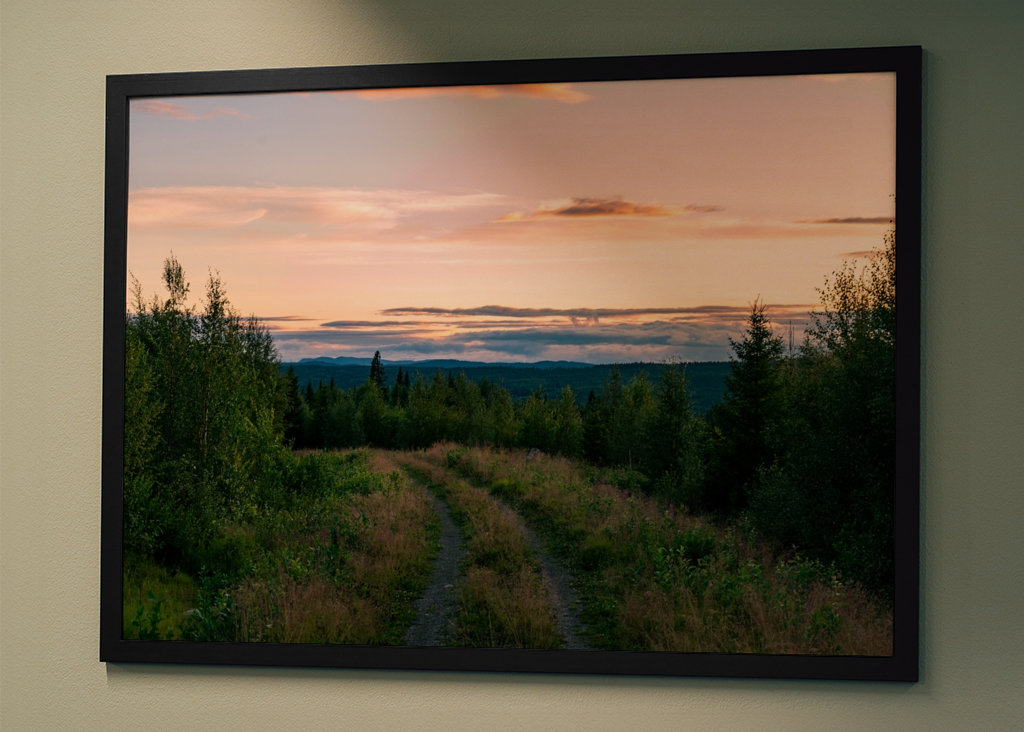 The Forest Kingdom of Jämtland