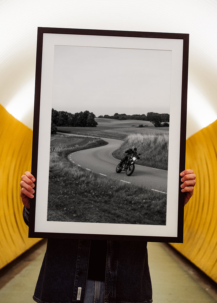 Ducati Scrambler Desert Sled