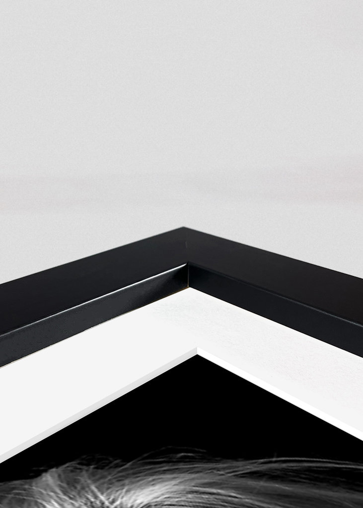 Beauty in black and white