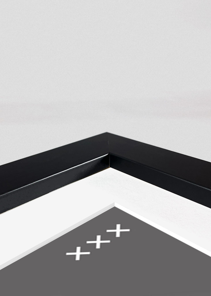 Ripple XRP Cryptocurrency