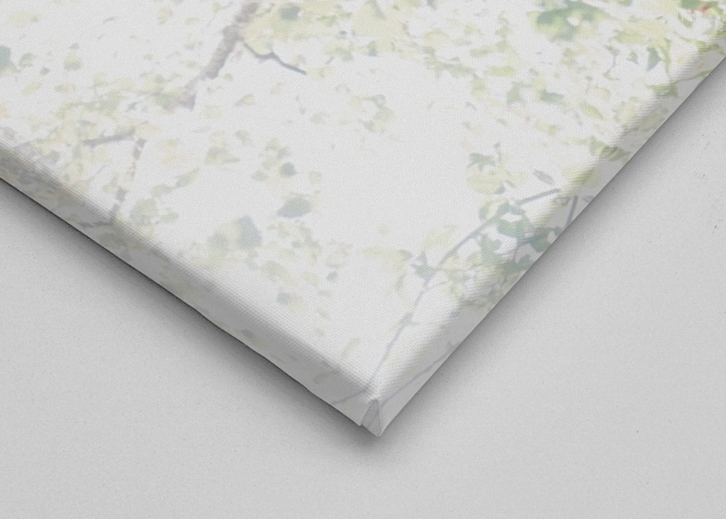 Dreamy Birch Tree #1 #wall #ar