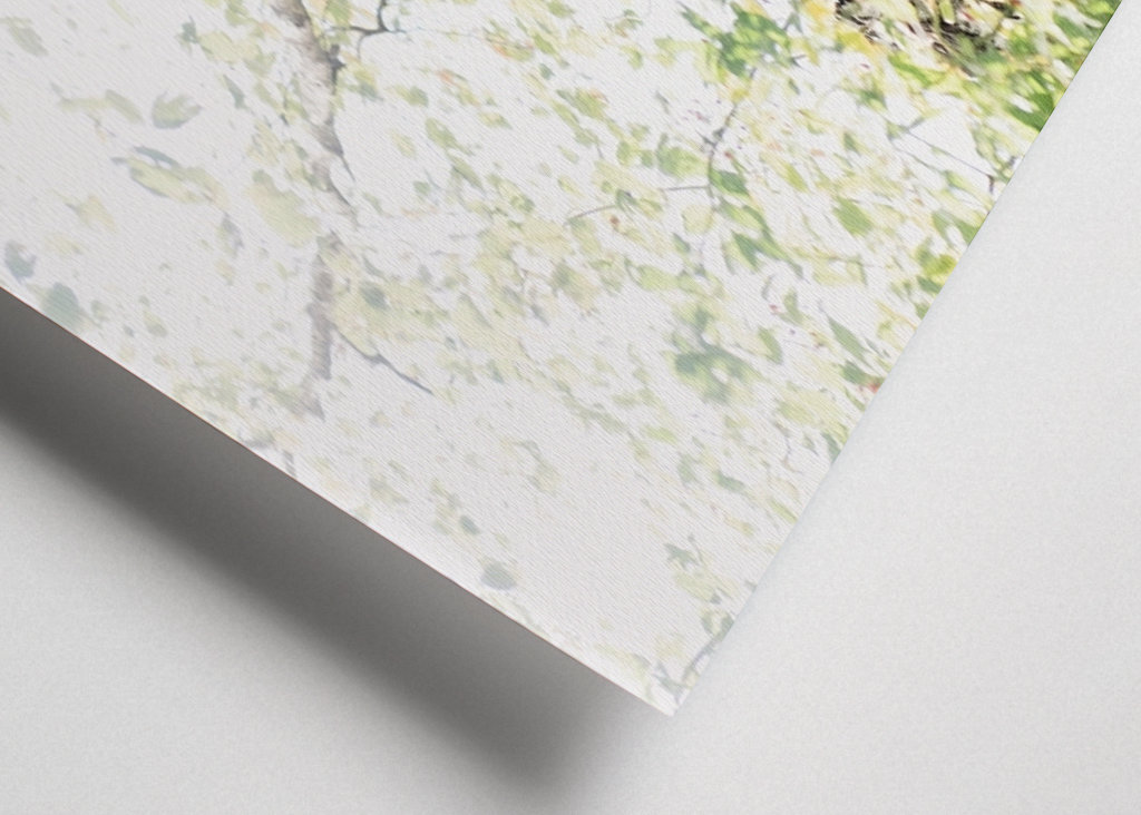 Dreamy Birch Tree #1 #wall #ar