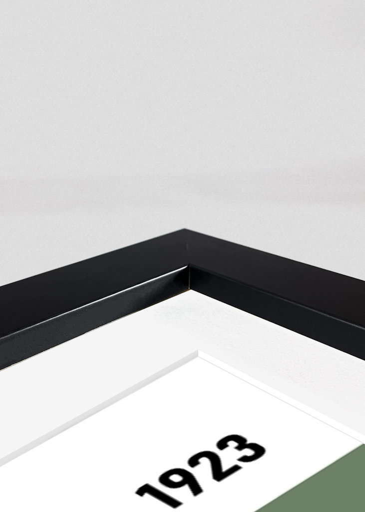 Bauhaus Monstera Green