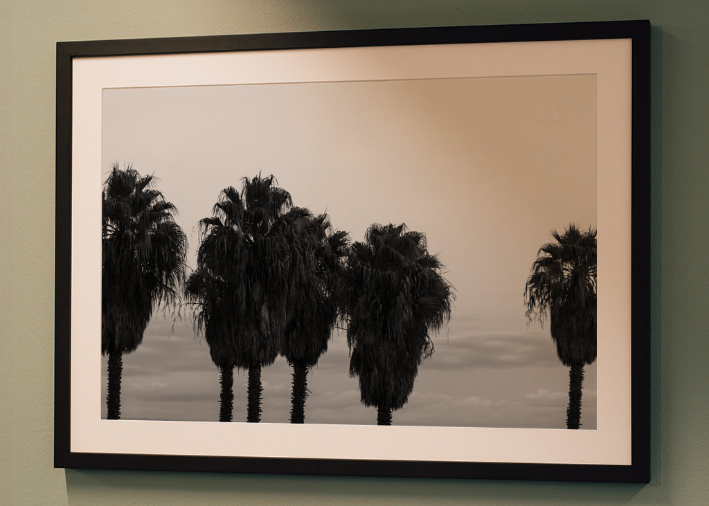 Sunset Palm Trees Dream #2 