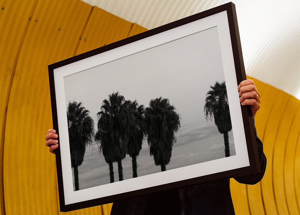 Sunset Palm Trees Dream #2 