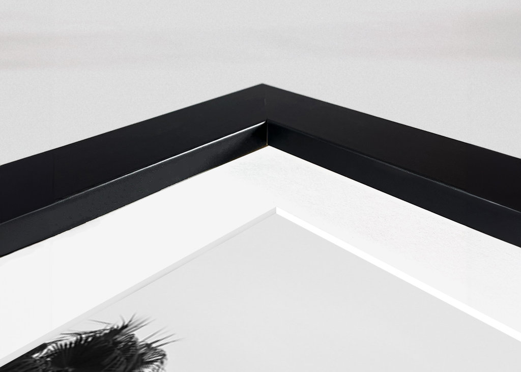 Sunset Palm Trees Dream #2 