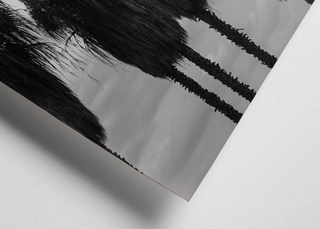 Sunset Palm Trees Dream #2 