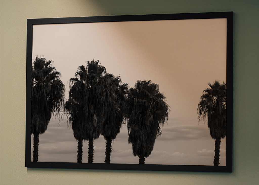 Sunset Palm Trees Dream #2 