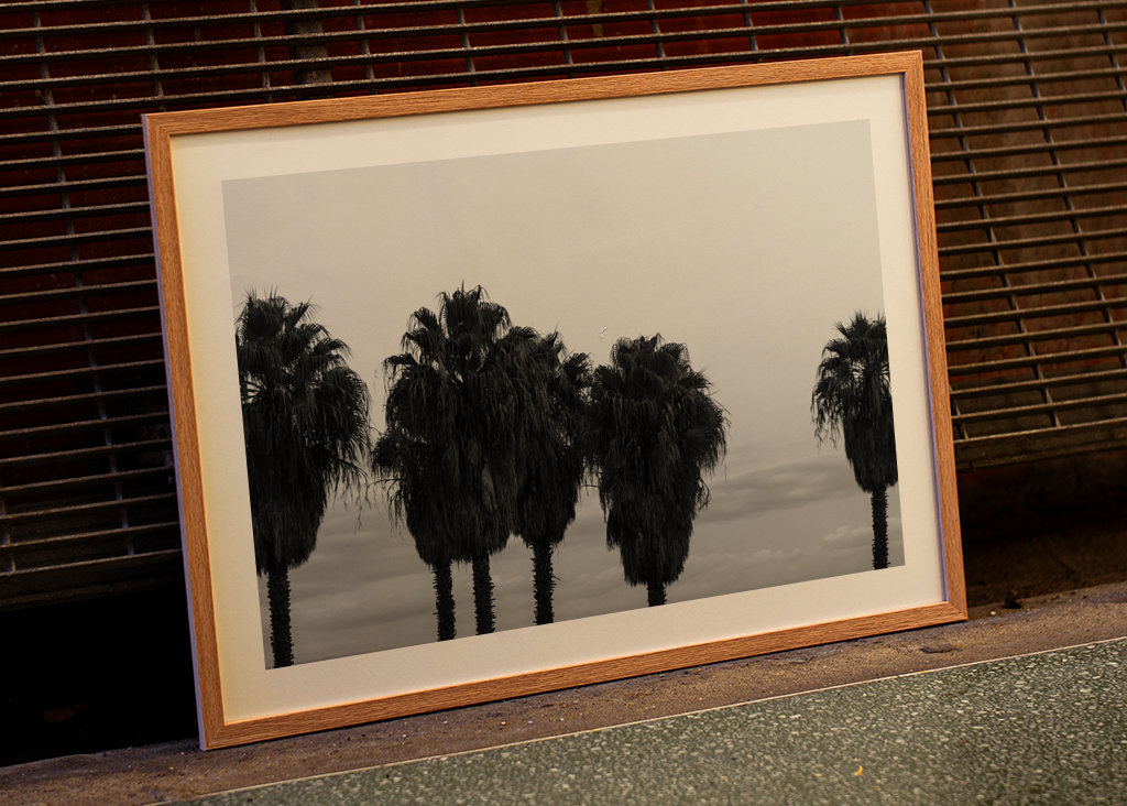 Sunset Palm Trees Dream #2 