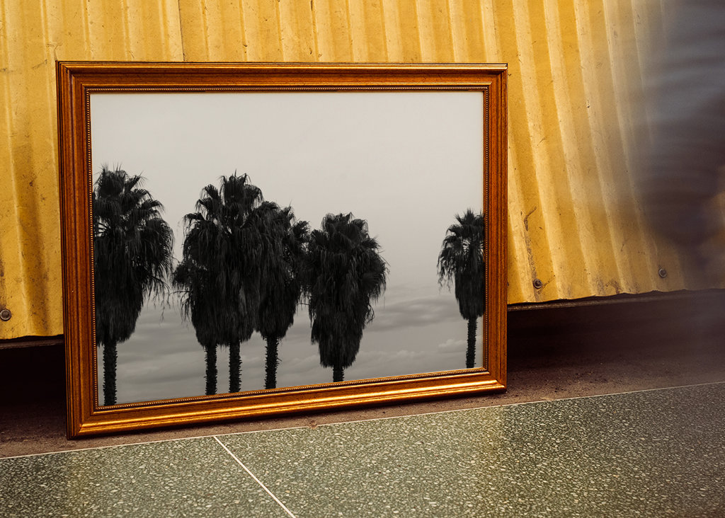 Sunset Palm Trees Dream #2 