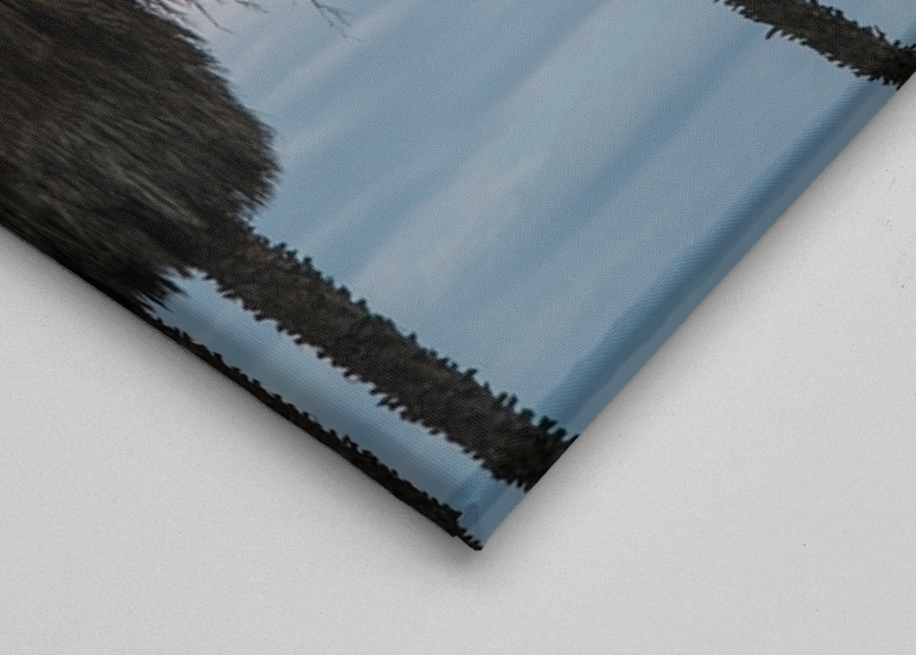 Sunset Palm Trees Dream #1 