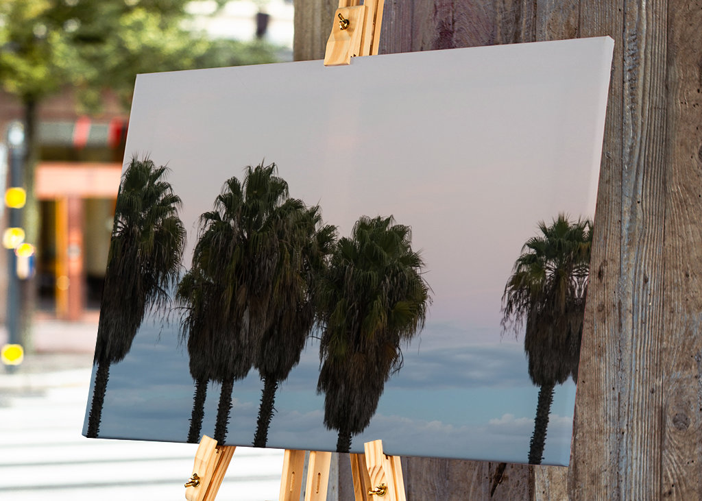 Sunset Palm Trees Dream #1 