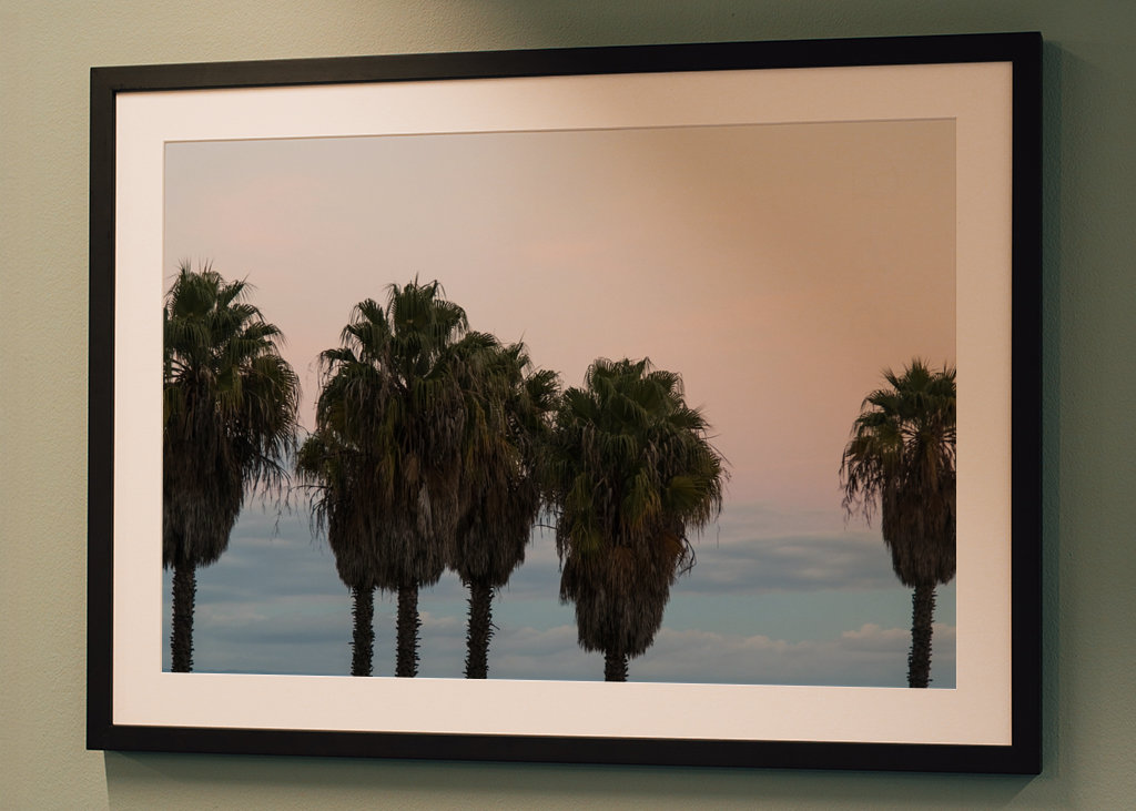 Sunset Palm Trees Dream #1 