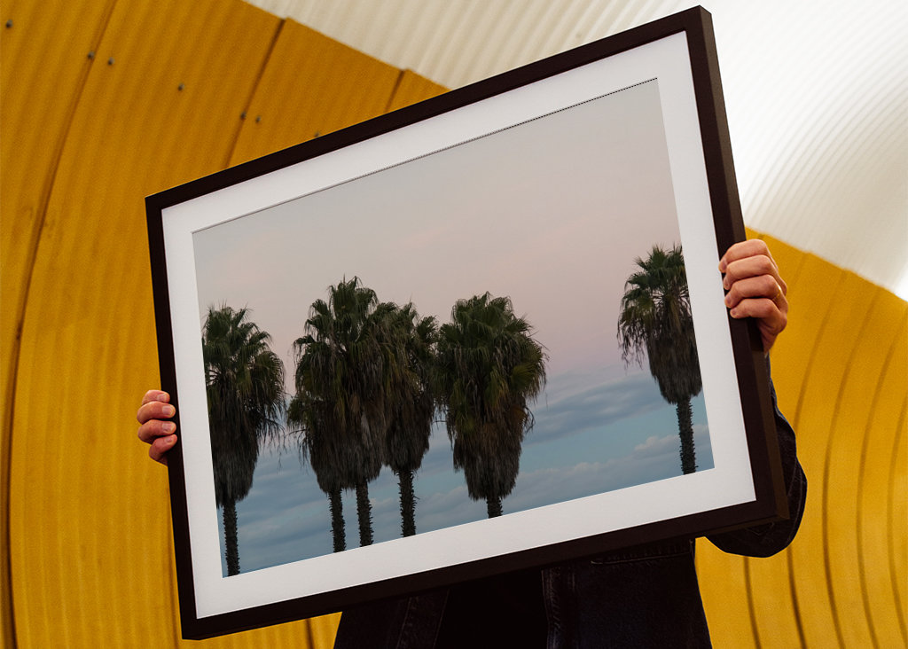 Sunset Palm Trees Dream #1 