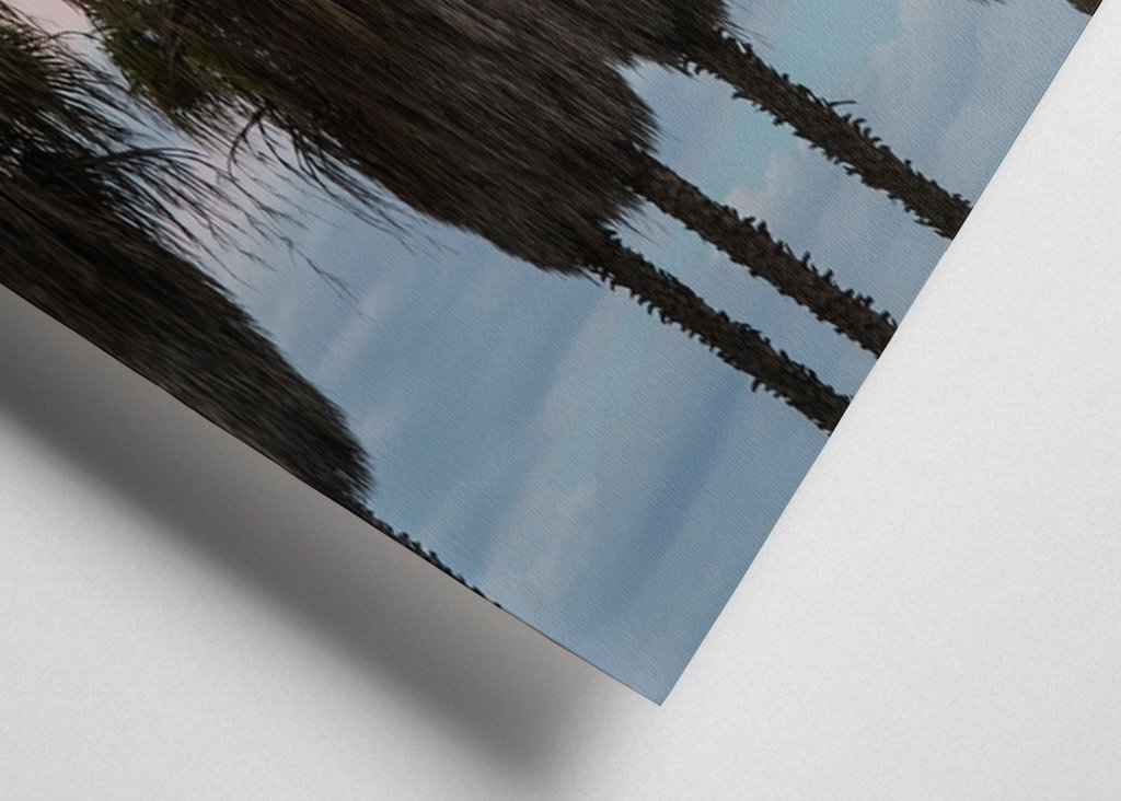 Sunset Palm Trees Dream #1 