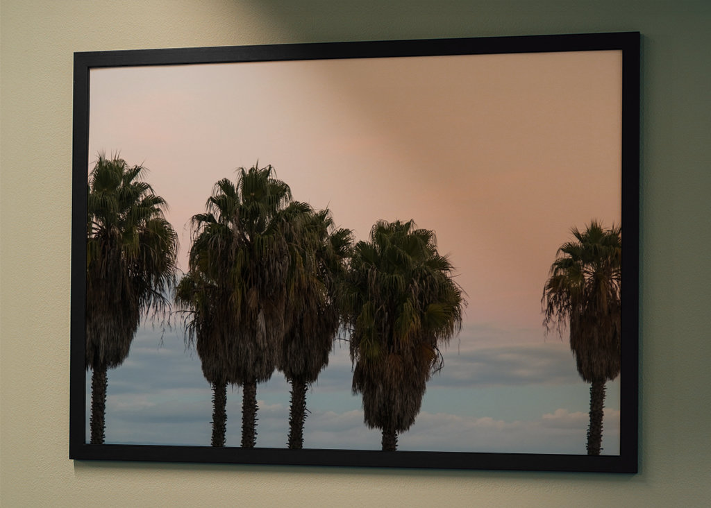 Sunset Palm Trees Dream #1 