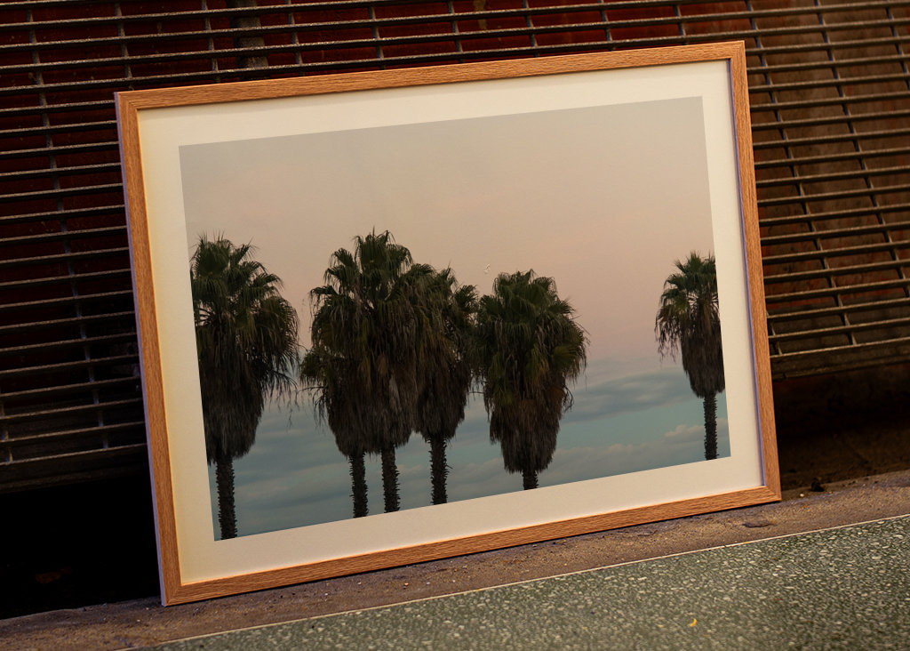 Sunset Palm Trees Dream #1 