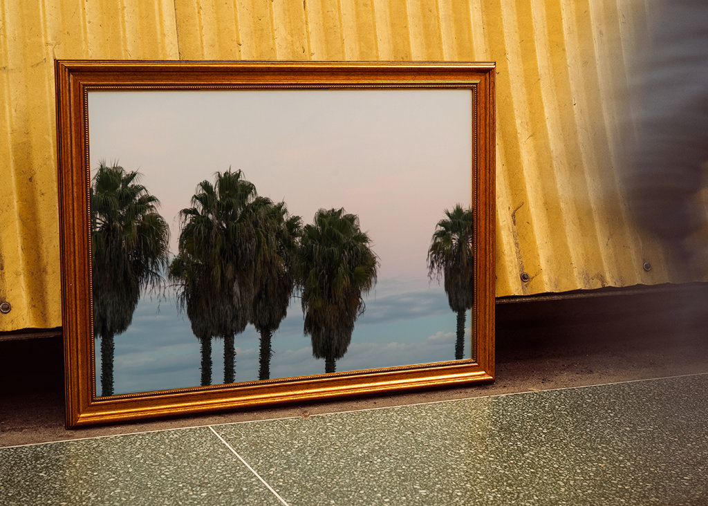 Sunset Palm Trees Dream #1 