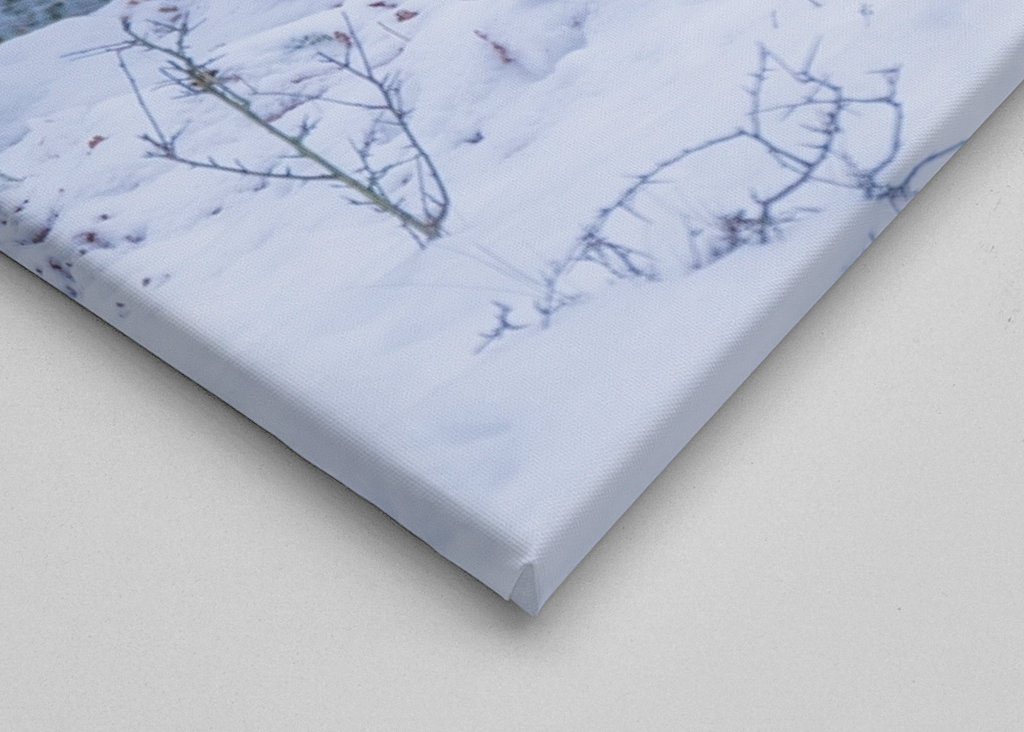 A Horse's Devotion in silence