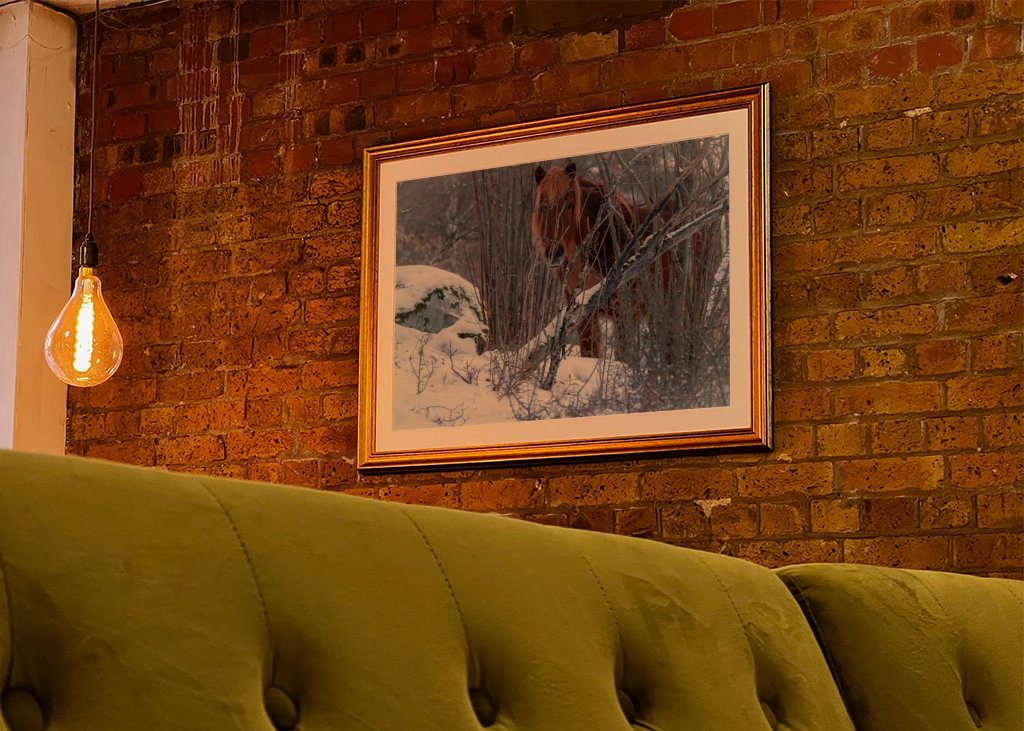 A Horse's Devotion in silence