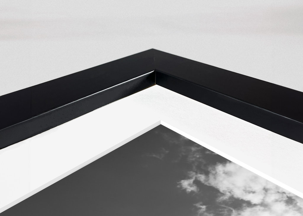 Under the Palm Trees #14 