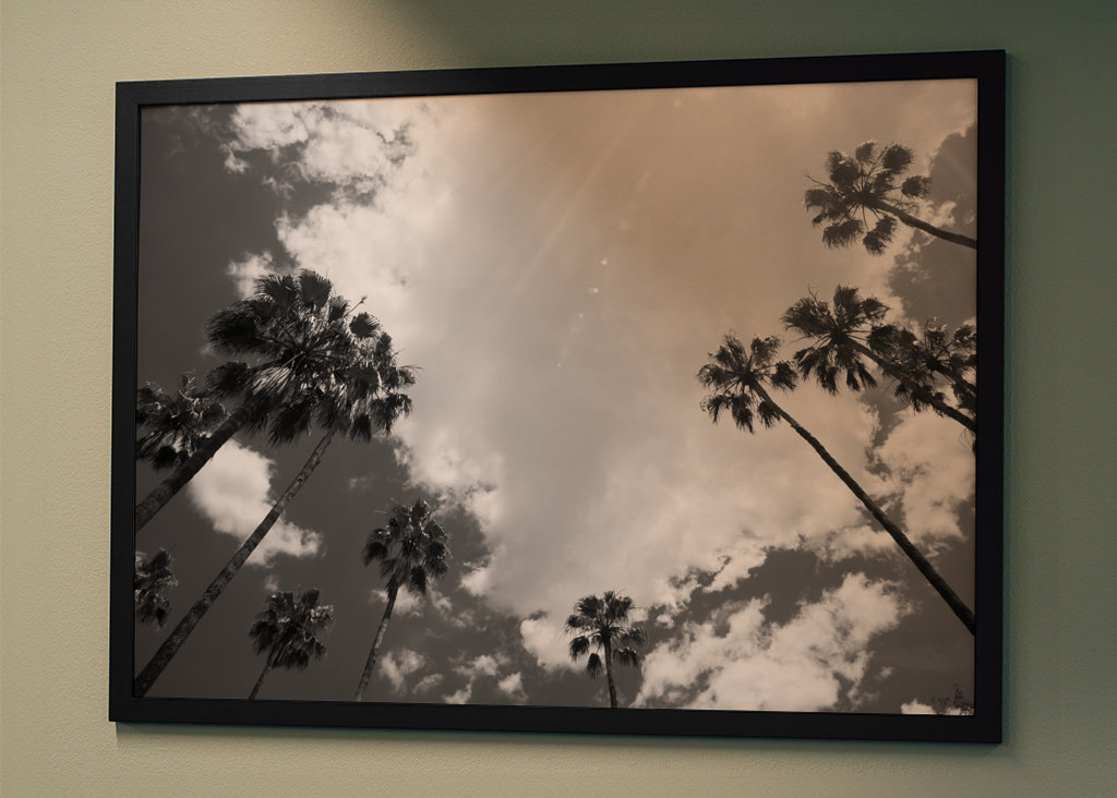 Under the Palm Trees #14 