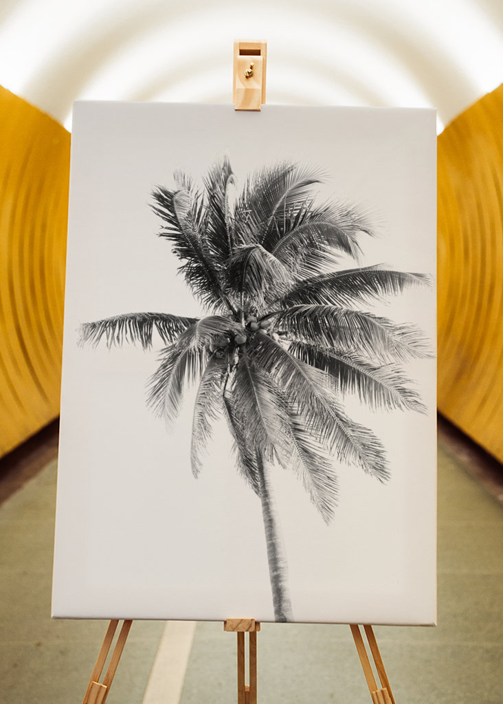 Palm Tree Beach Dream #5 #wall