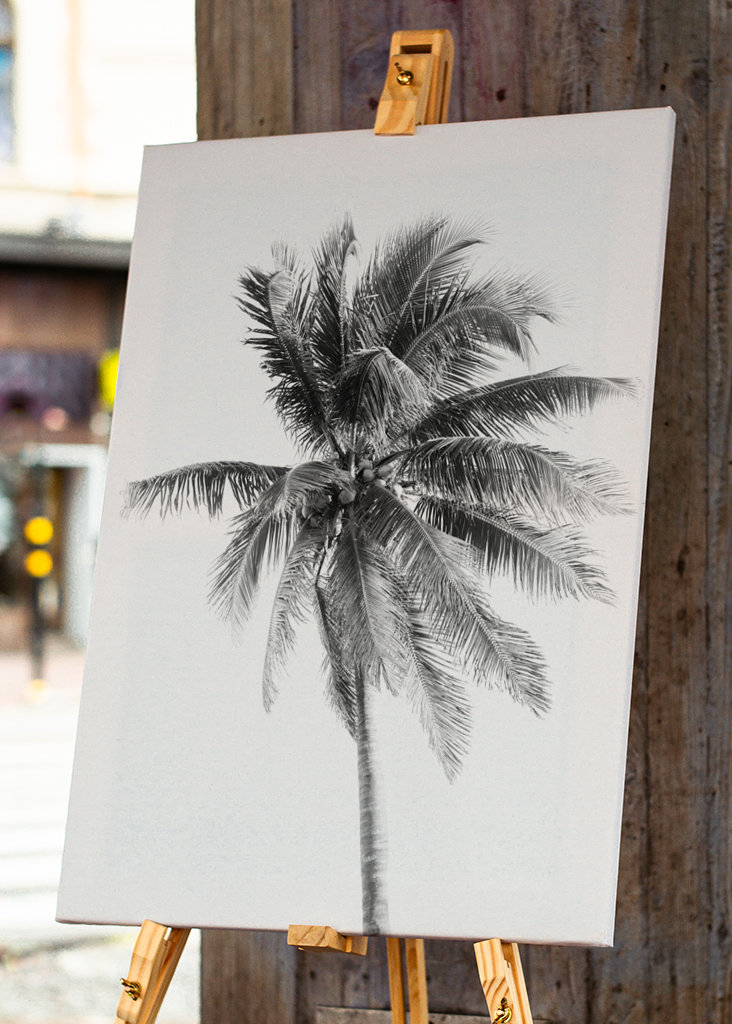 Palm Tree Beach Dream #5 #wall