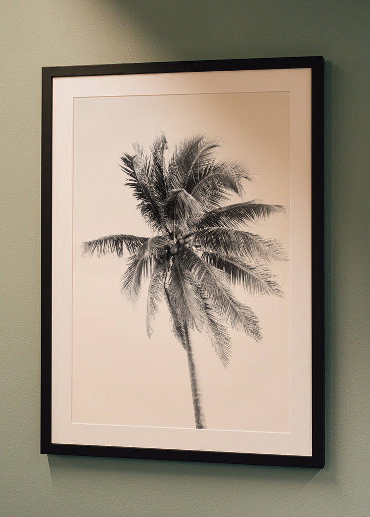 Palm Tree Beach Dream #5 #wall