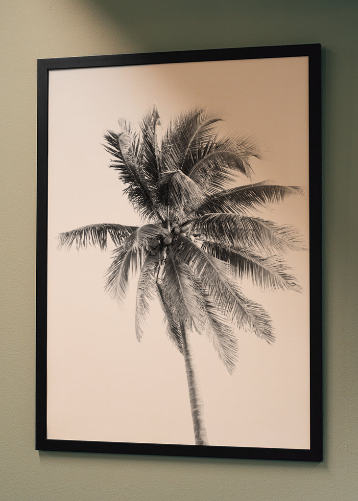 Palm Tree Beach Dream #5 #wall