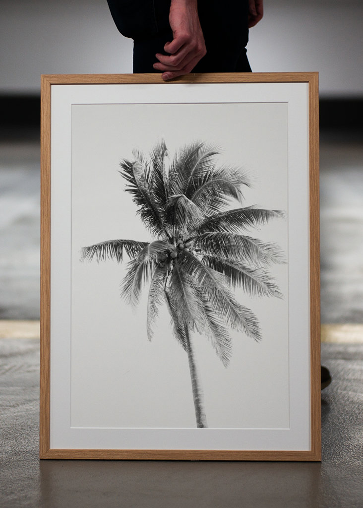 Palm Tree Beach Dream #5 #wall