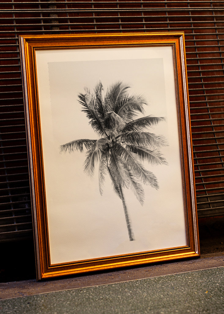 Palm Tree Beach Dream #5 #wall
