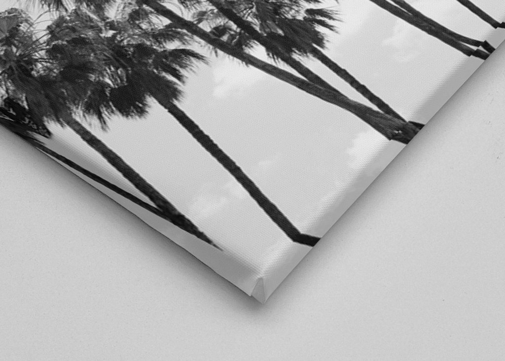 Palm Trees Beauty #8 #tropical