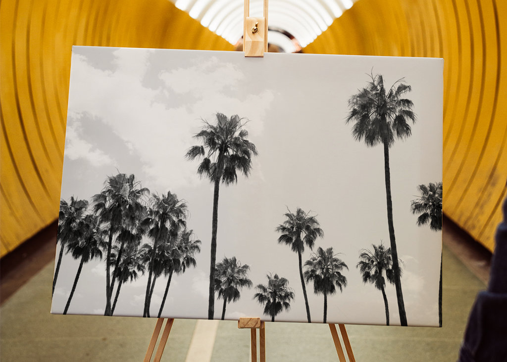 Palm Trees Beauty #8 #tropical