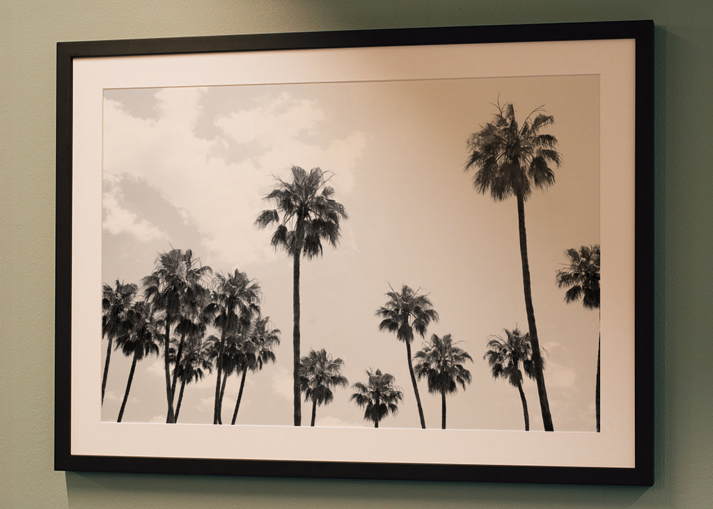 Palm Trees Beauty #8 #tropical