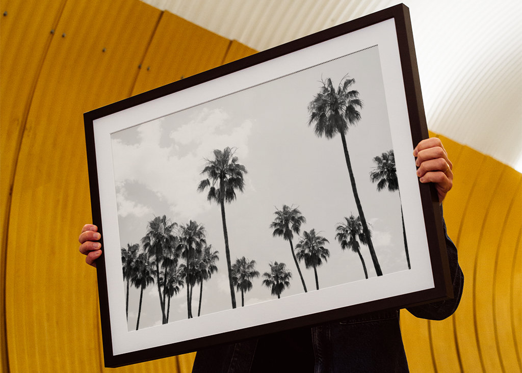 Palm Trees Beauty #8 #tropical