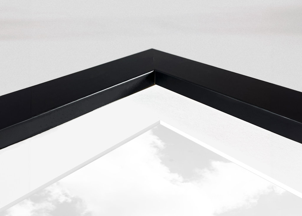 Palm Trees Beauty #8 #tropical