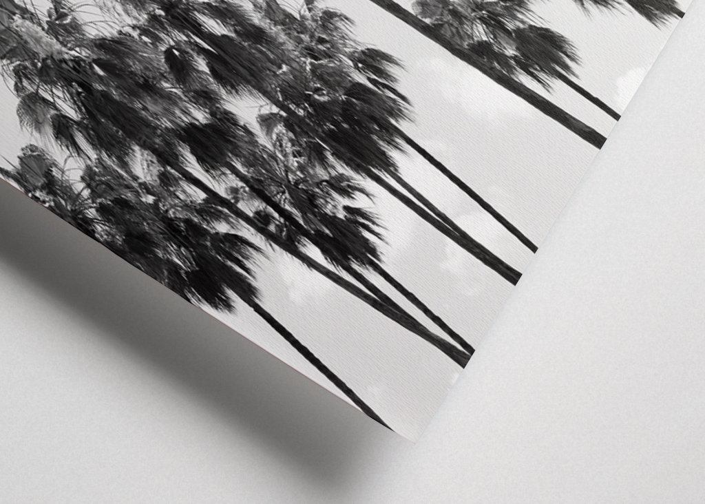 Palm Trees Beauty #8 #tropical