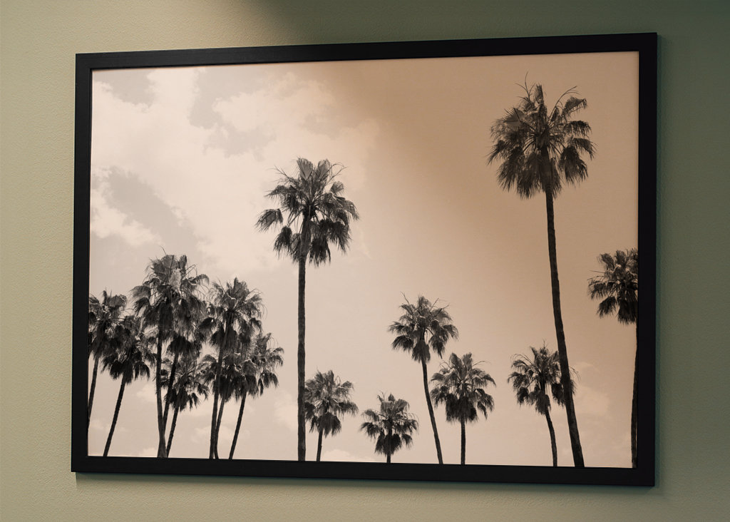 Palm Trees Beauty #8 #tropical