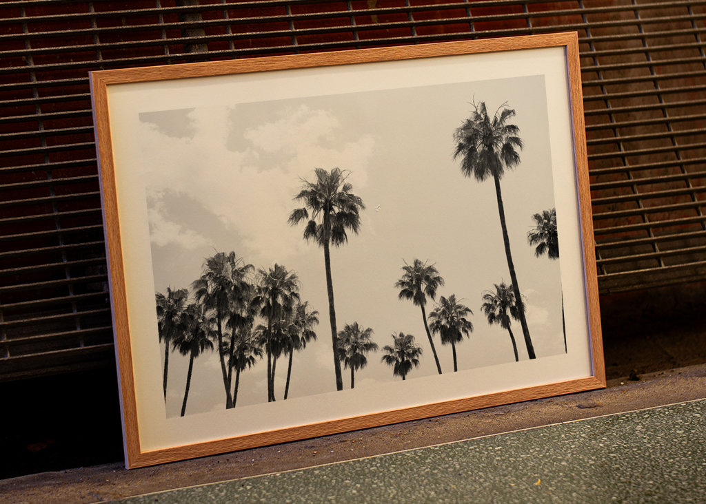 Palm Trees Beauty #8 #tropical