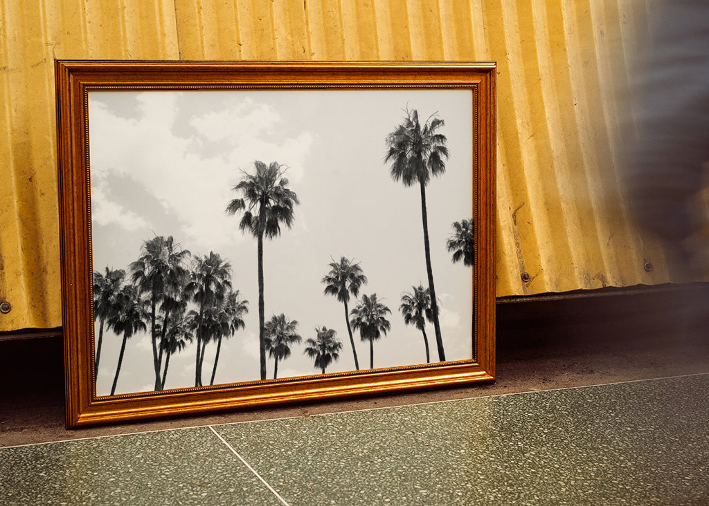 Palm Trees Beauty #8 #tropical