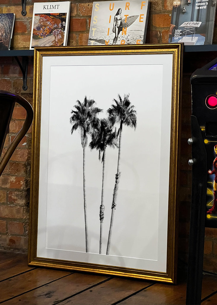 Palm Trees Black White Vibes 