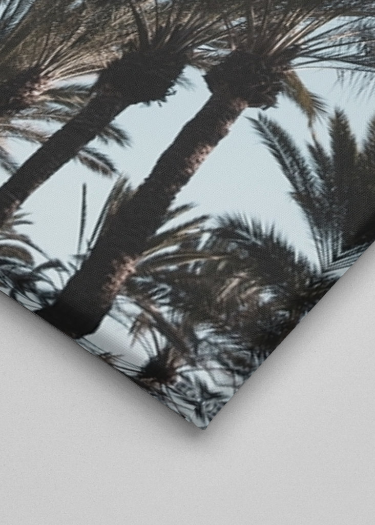 Palm Tree Jungle #1 #tropical 