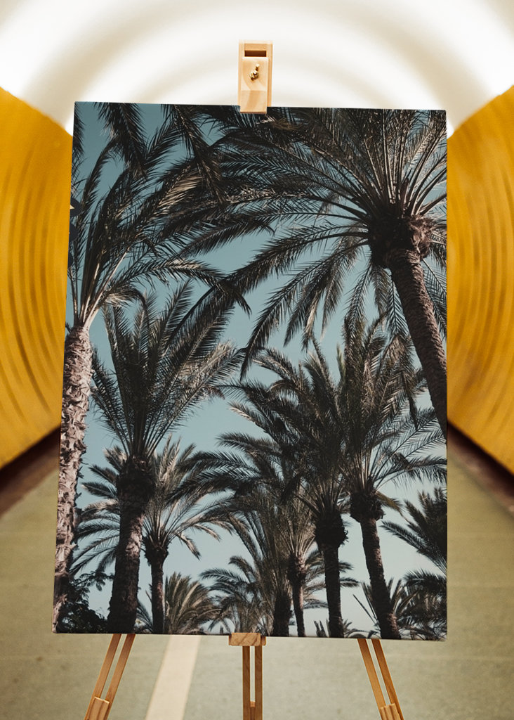 Palm Tree Jungle #1 #tropical 