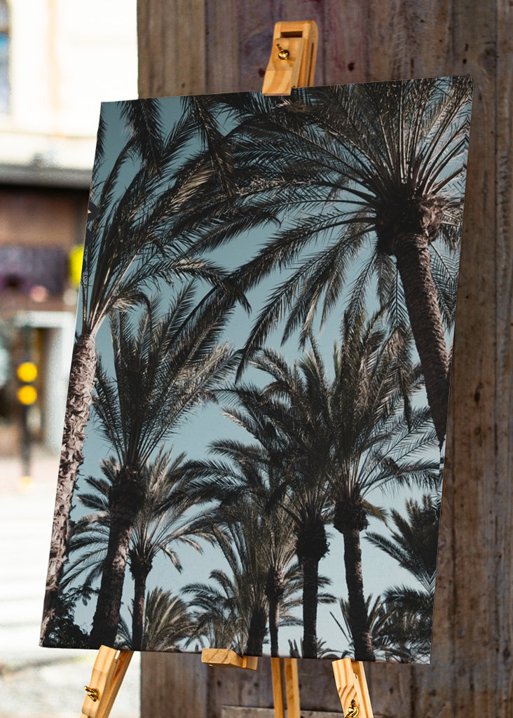 Palm Tree Jungle #1 #tropical 