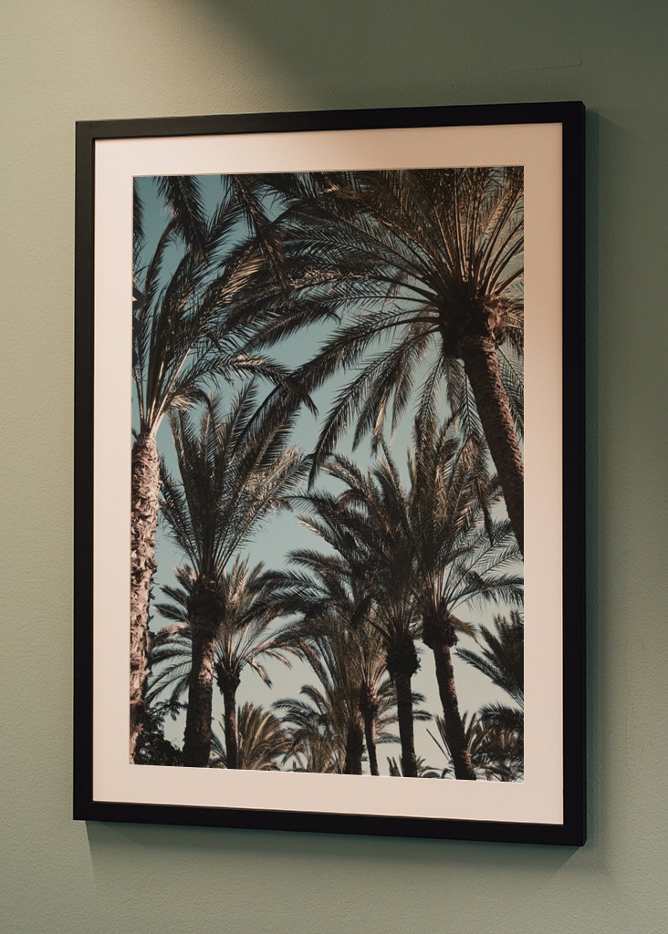 Palm Tree Jungle #1 #tropical 
