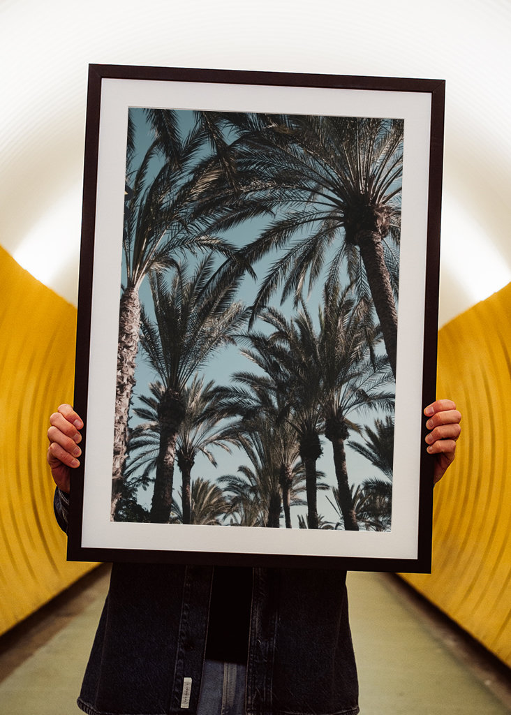 Palm Tree Jungle #1 #tropical 